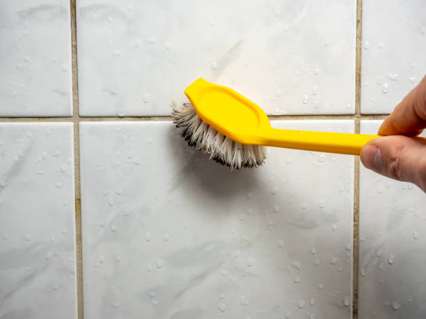 Best Mold Removal and Inspection  in Inglewood, CA