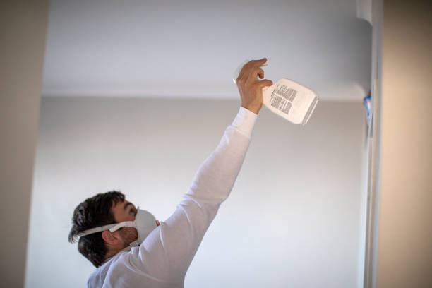 Best Local Mold Removal Service  in Inglewood, CA