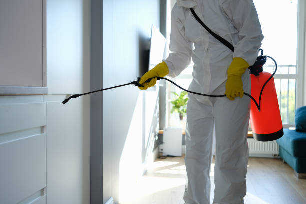 Office Mold Removal Services in Inglewood, CA