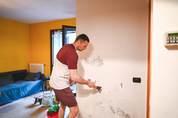 Best Commercial Mold Removal  in Inglewood, CA